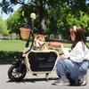 Doggie ベージュ