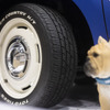TOYO TIRES…東京アウトドアショー2025