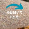 耐久性検証結果