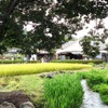 1位：道の駅川場田園プラザ
