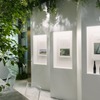 「MORIZO TEA（モリゾウティー）」を五感で体感できる特別展示
