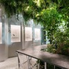 「MORIZO TEA（モリゾウティー）」を五感で体感できる特別展示