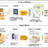 これまでの計測手法と今回の計測手法の違い