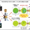 ゴムの破壊に繋がる内部構造の分布の違いを可視化