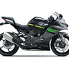 カワサキ Ninja ZX-25R SE（メタリックマットグラファイトグレー×メタリックスパークブラック）