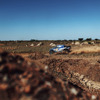 W2RC『SOUTH AFRICAN SAFARI RALLY』