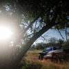 W2RC『SOUTH AFRICAN SAFARI RALLY』