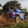 W2RC『SOUTH AFRICAN SAFARI RALLY』