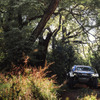 W2RC『SOUTH AFRICAN SAFARI RALLY』