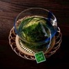 ウールで育てたお茶
