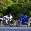 スズキ GSX250R（左）とヤマハ YZF-R25（右）