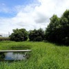 三重工場内の緑地