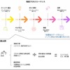 「製品のCO2ラベリング」の検証
