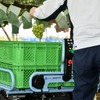 城南製作所の追従運搬車「Folloone（フォローン）」