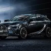 レイズ RSS RS 2×9R × LEXUS RX