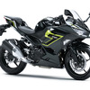 カワサキ Ninja 250（メタリックカーボングレー×メタリックイエローイッシュグリーン）