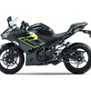 カワサキ Ninja 250（メタリックカーボングレー×メタリックイエローイッシュグリーン）
