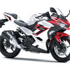 カワサキ Ninja 250（ギャラクシーシルバー×キャンディパーシモンレッド）