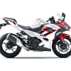 カワサキ Ninja 250（ギャラクシーシルバー×キャンディパーシモンレッド）
