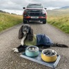 「いすゞD-Max×Ruffwearコレクション」