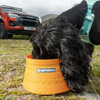 「いすゞD-Max×Ruffwearコレクション」