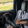 「いすゞD-Max×Ruffwearコレクション」