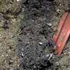 ポルシェが廃車のプラスチックを再生しステアリングホイール素材に利用