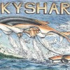 2024年度モビリティデザイン大賞　星野　眞吾さん「SKYSHARK-自然を汚さない乗り物」