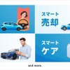 「cars WELLNESS」