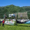 スターキャンプ2026 in 朝霧高原