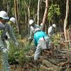 17日に高梁・JOMO ふれあいの森で実施された森林ボランティアの模様