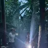 カブトムシドーム ナイトツアー