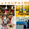 フォトコンテスト