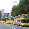 hatobus2OP_ono