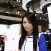 スズキ、コンパニオン