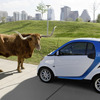 スマート フォーツーを使用したカーシェアリング「car2go」（カーツーゴー）