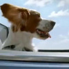 Eクラス カブリオレ 世界初となる「エアキャップ」を採用