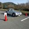 今回の参加車の中で最も多かったメイクスであるジャガーの1台、XK120もタイムトライアルに挑戦