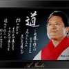 MAPLUS 闘魂ナビ