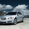 XF