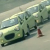 パンダ（画像は動画キャプチャー）