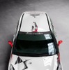 DS3 R3