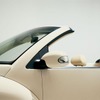 VW『ニュービートル』にカブリオレ追加---もしものロールオーバー