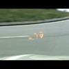 新型X3動画キャプチャー画像