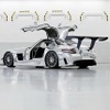 SLS AMG GT3