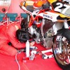 “コカ・コーラ ゼロ”鈴鹿8時間耐久ロードレース第33回大会（決勝7月25日）