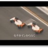 予告編スクリーンショット