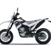 WR250X パープリッシュホワイトソリッド1