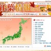 本格的行楽シーズン突入！　この秋行きたい紅葉の見ごろ情報やスポット 「紅葉情報2010」地図で見頃を表示。黄色の色づき始めが広がってきた