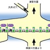 集中料金所のETCレーンの位置は安全を考慮しているか